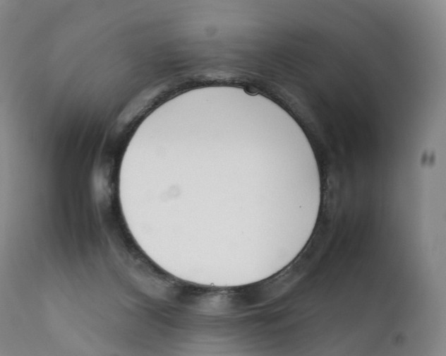 X0000111250116200907231602