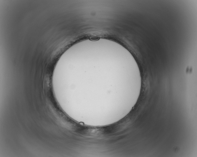 X0000111250117200907231602