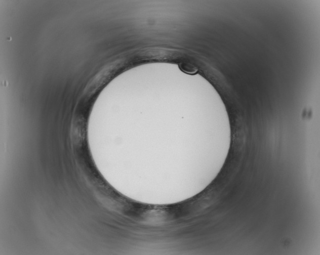 X0000111250119200907231602