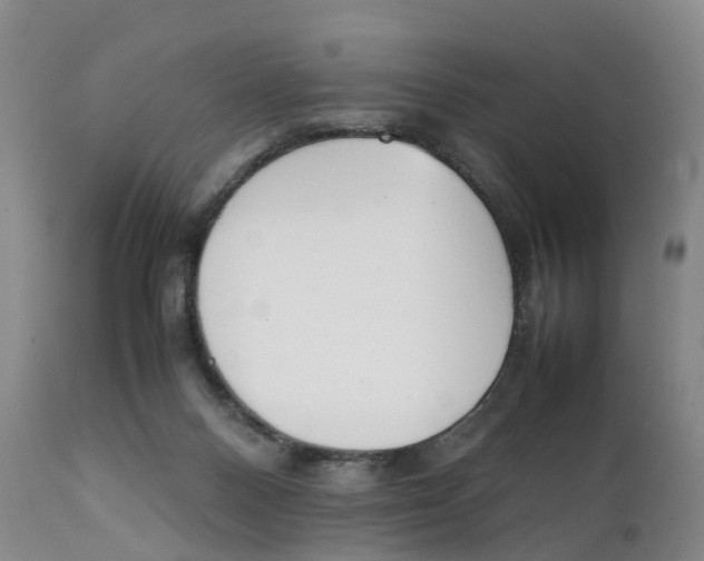 X0000111250120200907231602