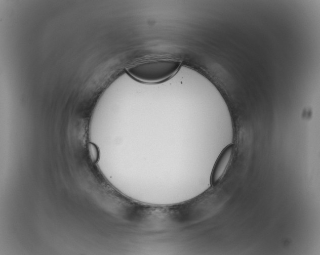 X0000111250121200907231602