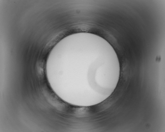 X0000111250122200907231602