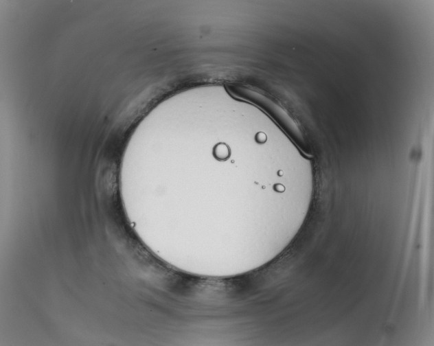 X0000111250123200907231602