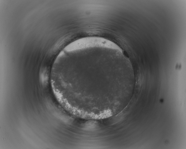 X0000111250124200907231602