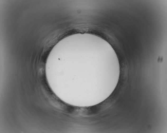 X0000111250125200907231602