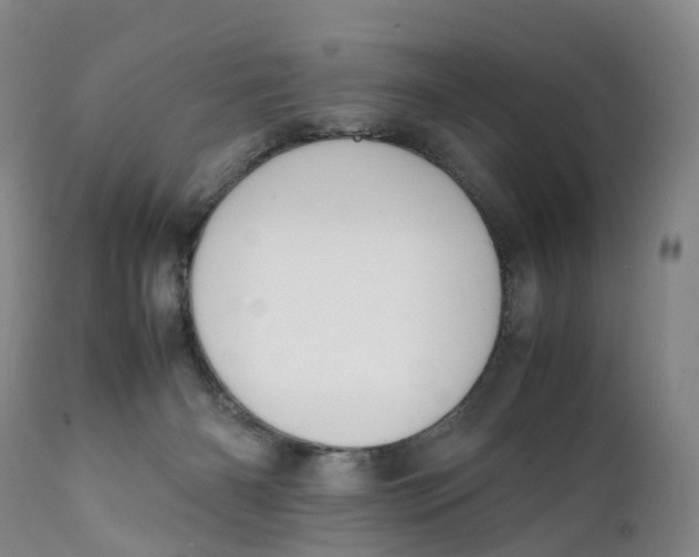 X0000111250126200907231602