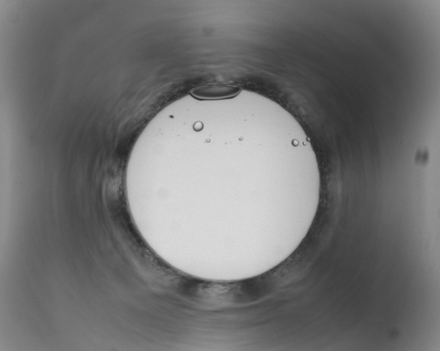 X0000111250129200907231602