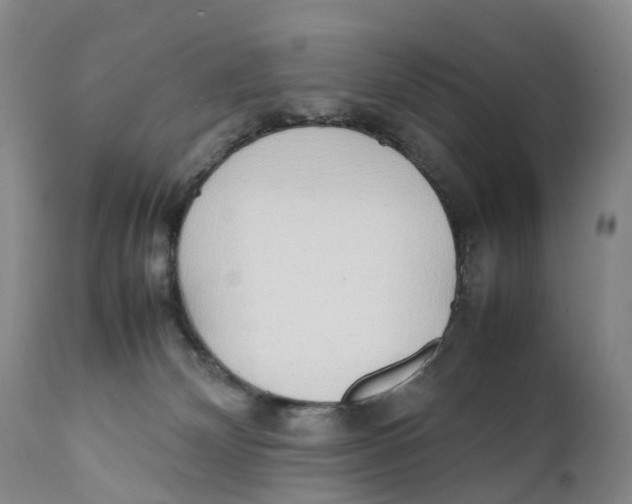 X0000111250132200907231602