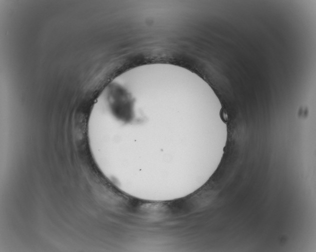 X0000111250133200907231602