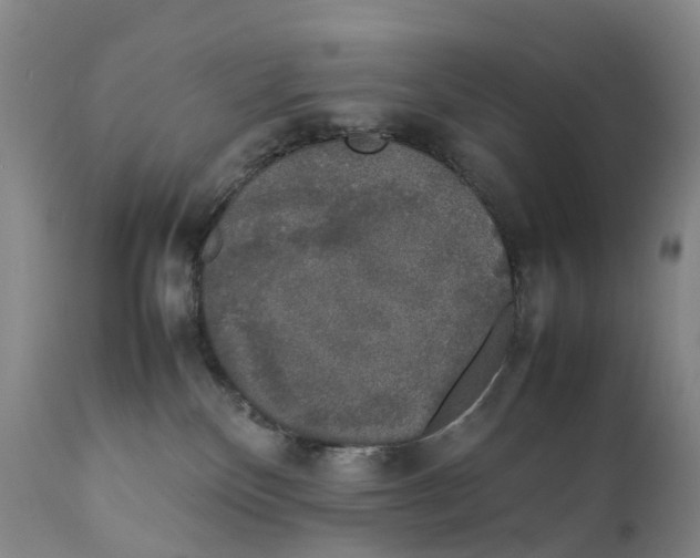 X0000111250136200907231602