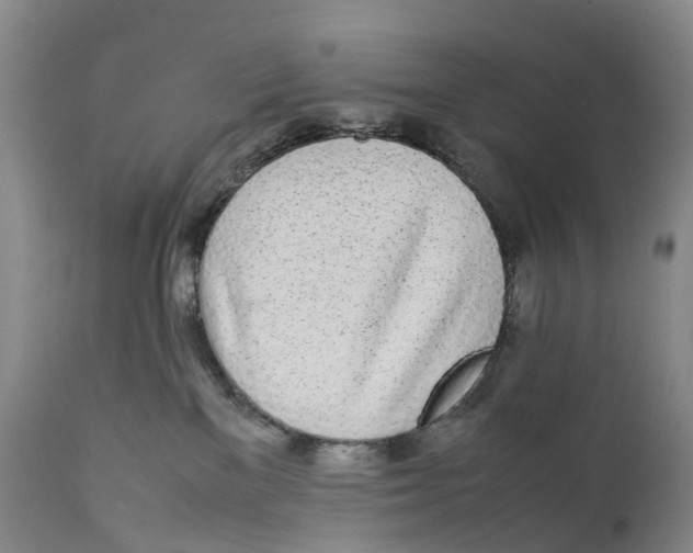 X0000111250137200907231602