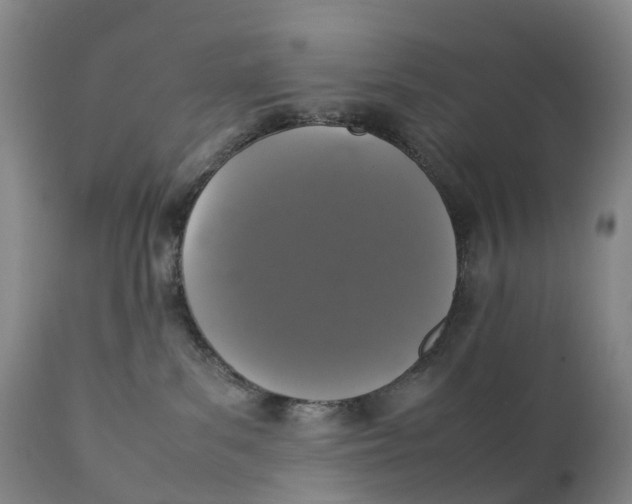 X0000111250139200907231602