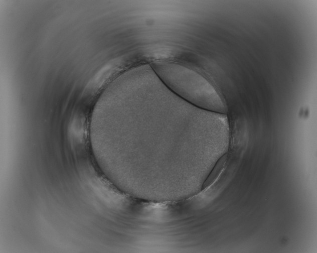 X0000111250140200907231602