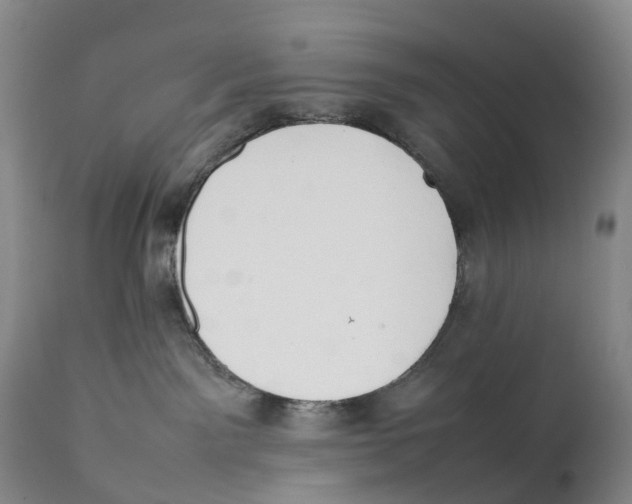 X0000111250141200907231602