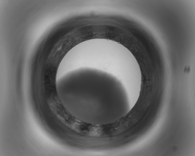 X0000111250143200907231602