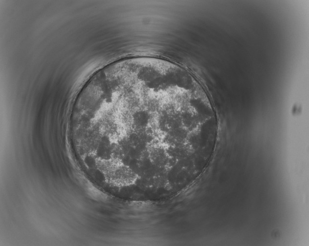 X0000111250145200907231601