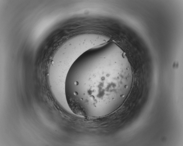 X0000111250146200907231601