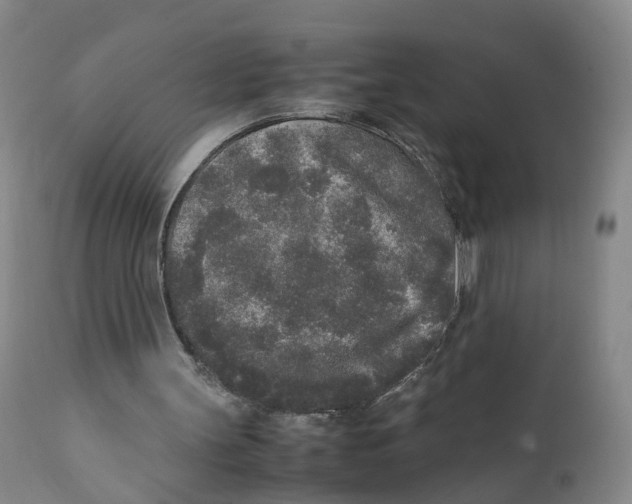 X0000111250147200907231601