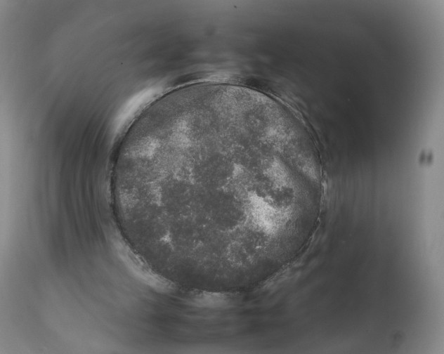 X0000111250149200907231601