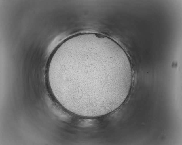 X0000111250151200907231601