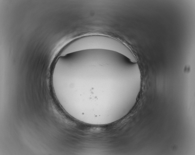 X0000111250152200907231601