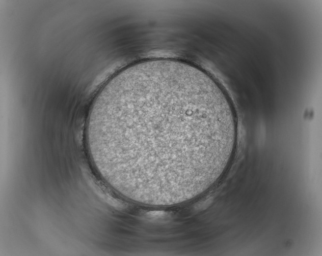 X0000111250153200907231601