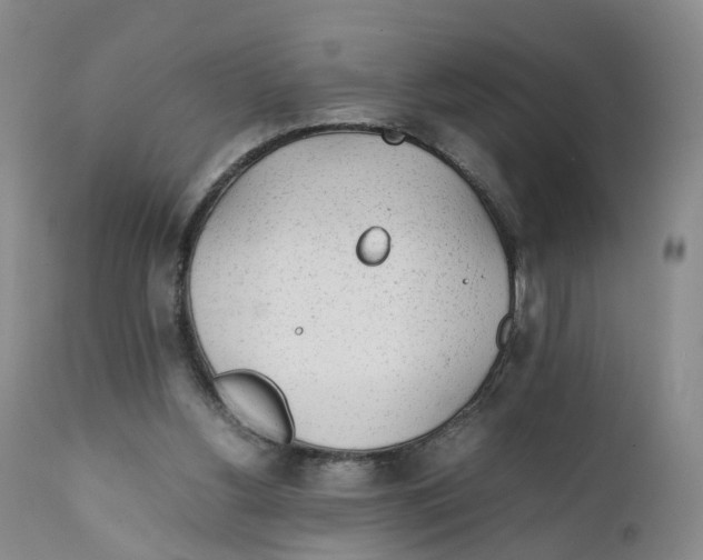 X0000111250156200907231601