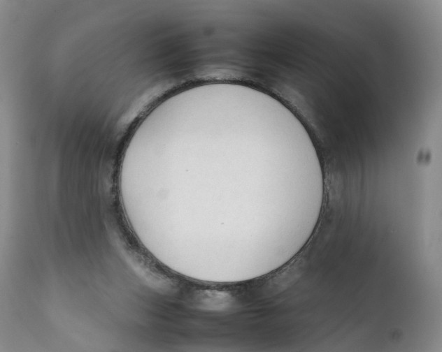 X0000111250159200907231601