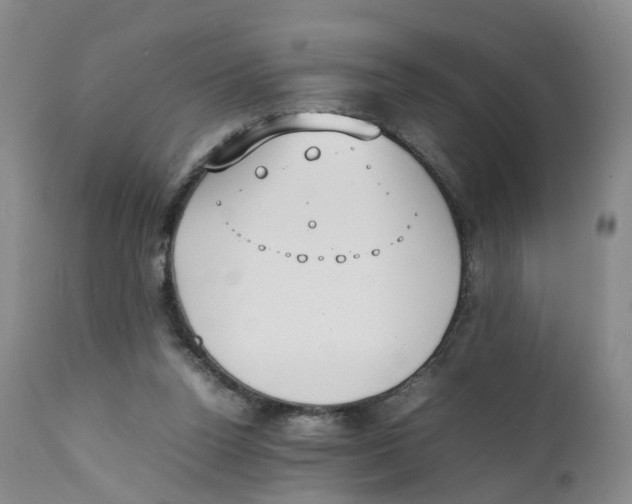 X0000111250160200907231601