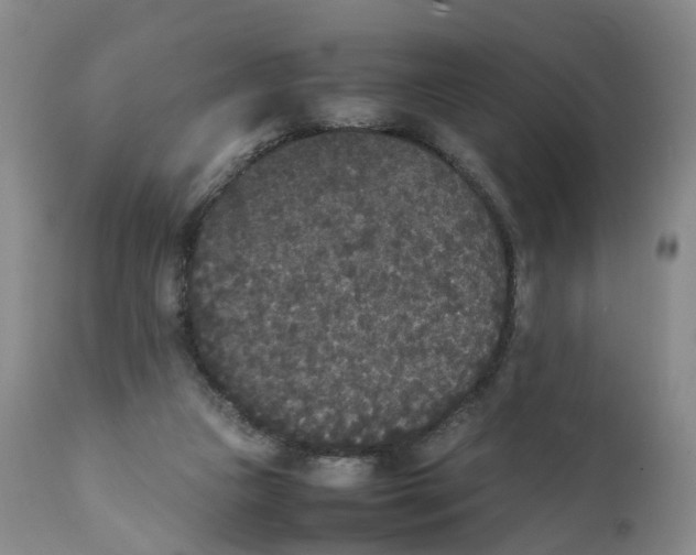 X0000111250161200907231601