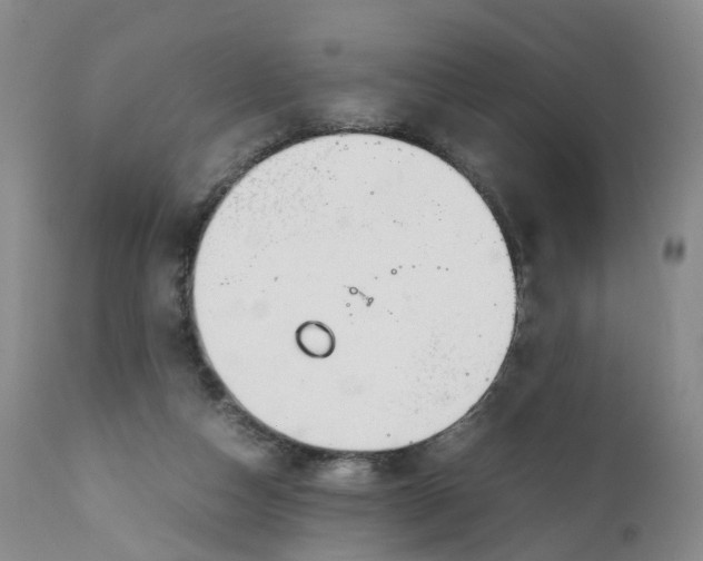 X0000111250162200907231601