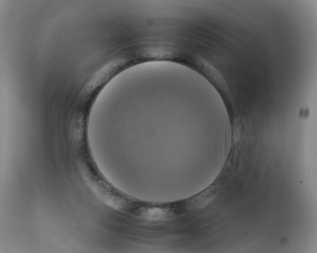 X0000111250163200907231601