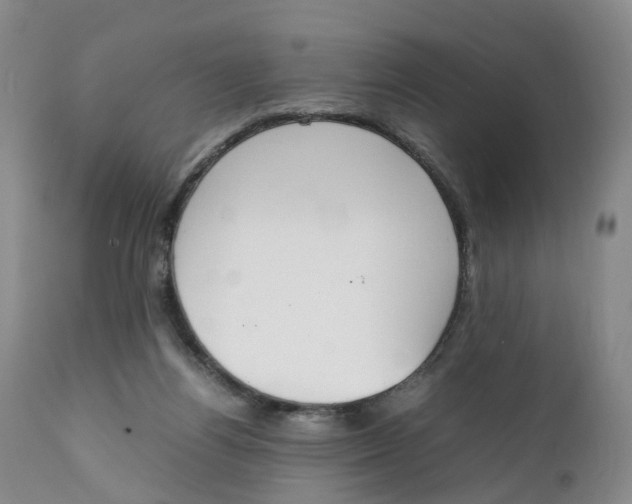 X0000111250164200907231601