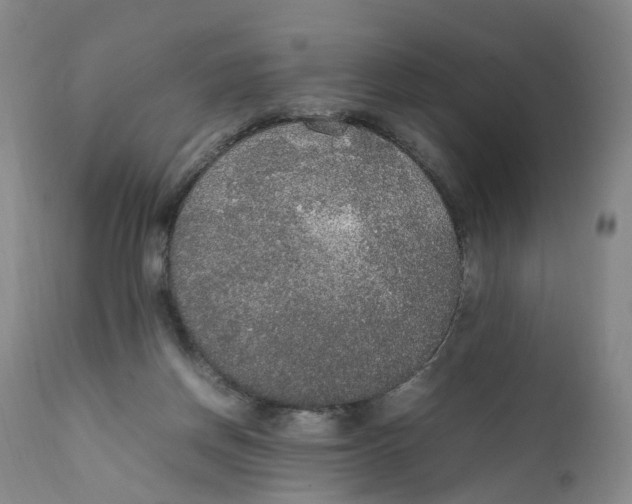 X0000111250166200907231601