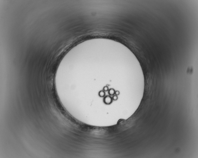 X0000111250168200907231601