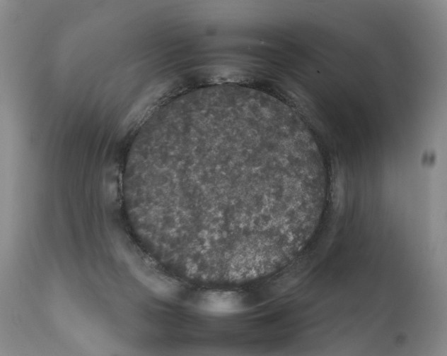 X0000111250169200907231601