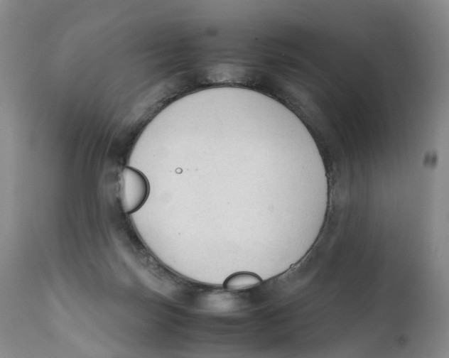 X0000111250171200907231601