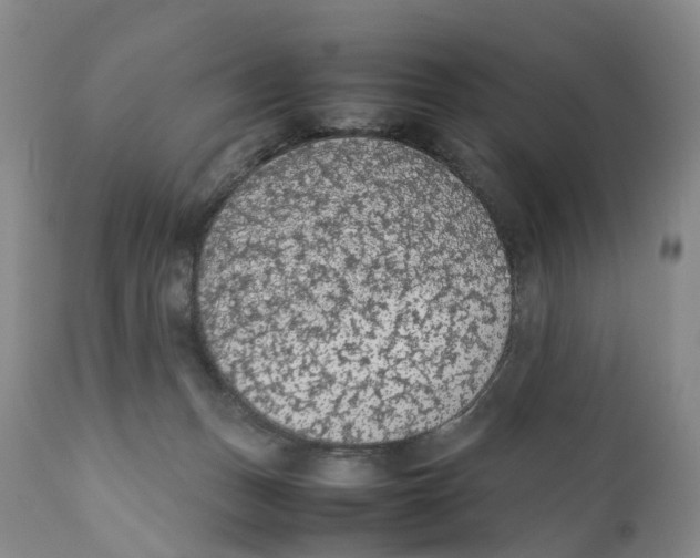 X0000111250175200907231601