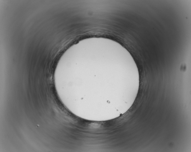 X0000111250176200907231601