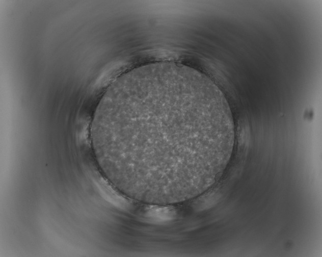 X0000111250185200907231602