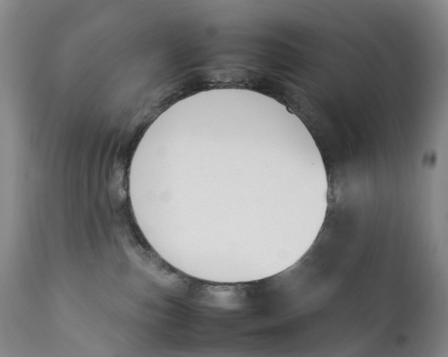 X0000111250187200907231602