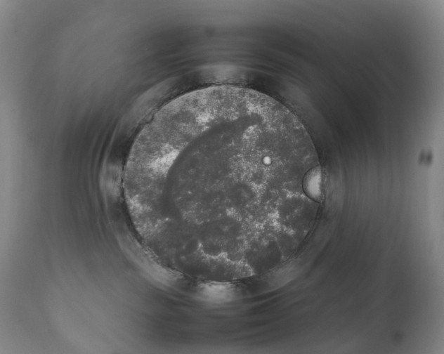 X0000111250189200907231602