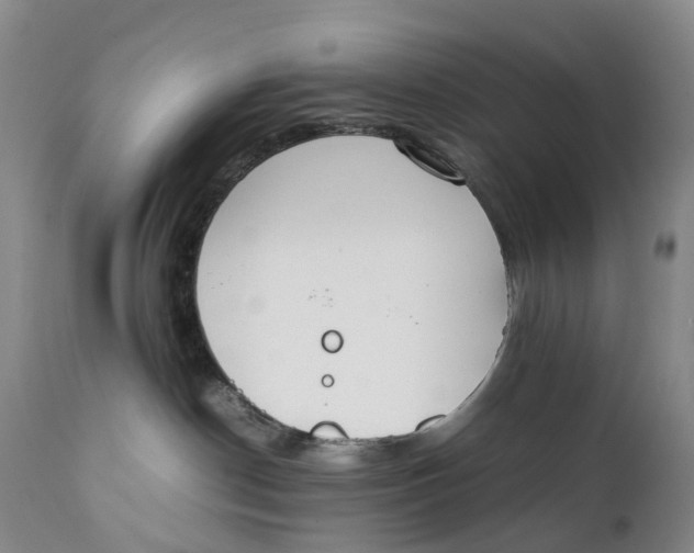 X0000111250190200907231602