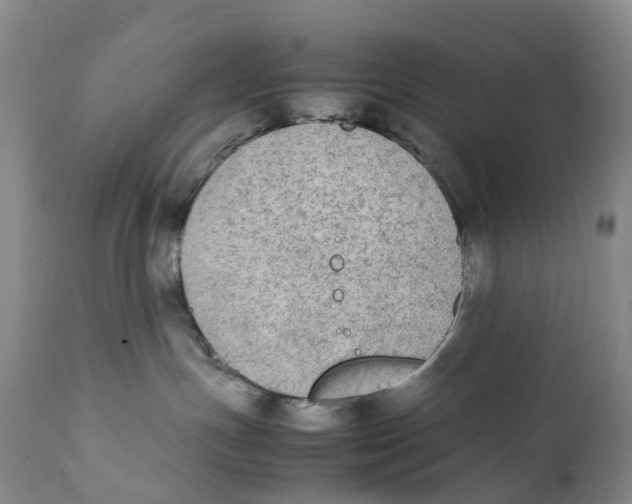 X0000111250191200907231602