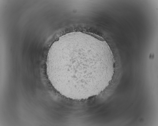 X0000111250192200907231602