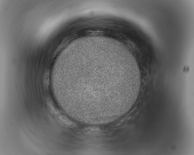 X0000111250194200907231601