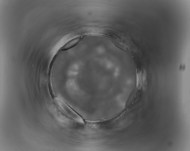 X0000111250195200907231601