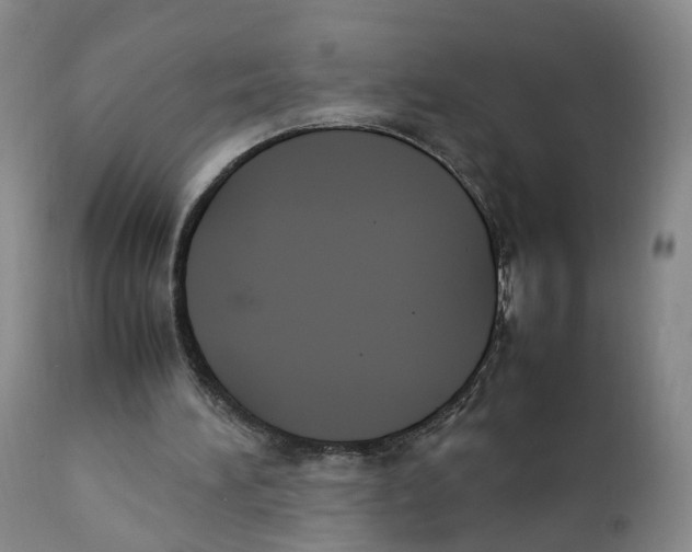 X0000111250196200907231601