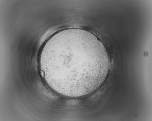 X0000111250198200907231601