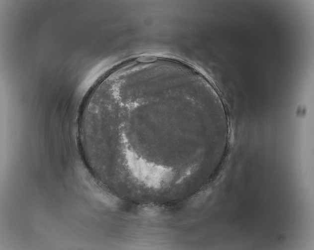 X0000111250199200907231601